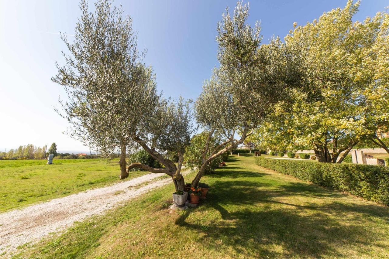 Agriturismo Bella Cima Montefiascone Kültér fotó
