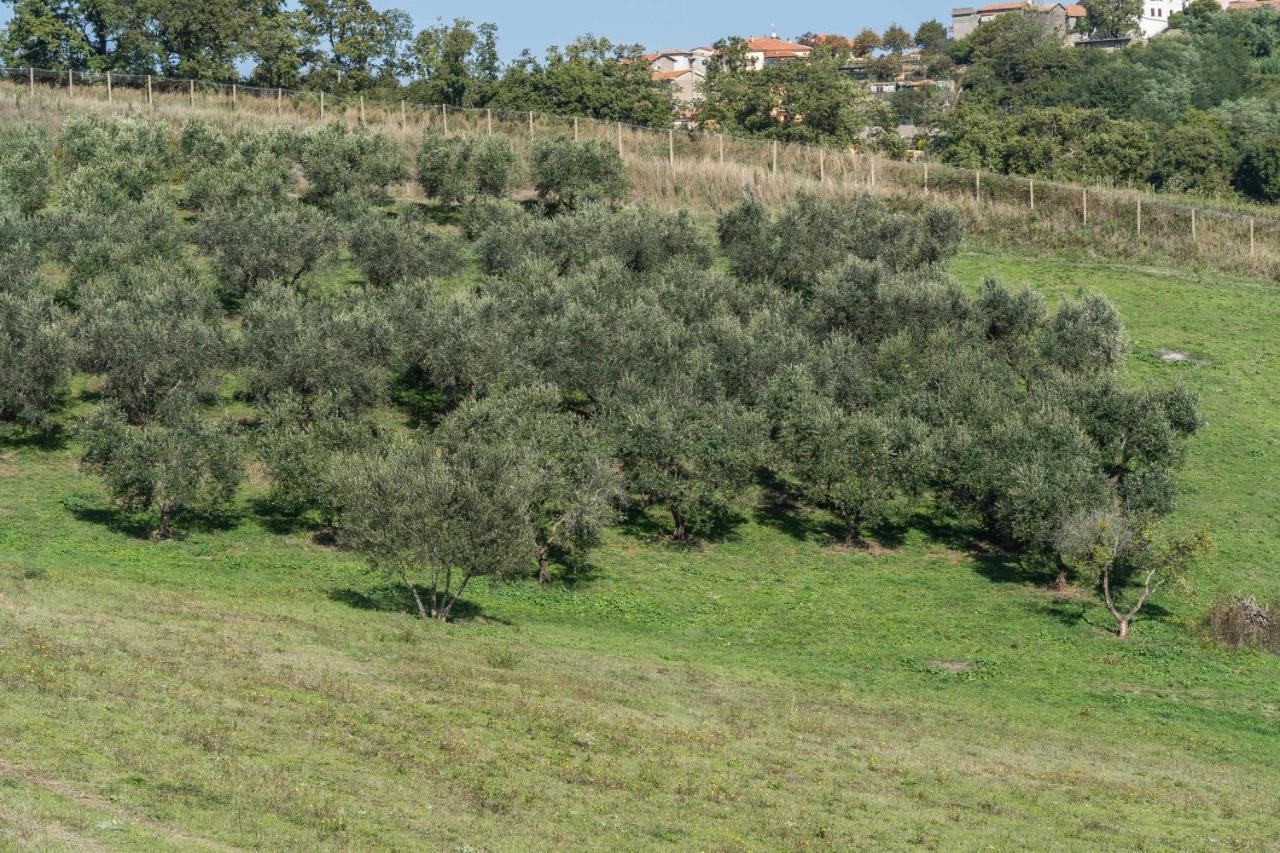 Agriturismo Bella Cima Montefiascone Kültér fotó