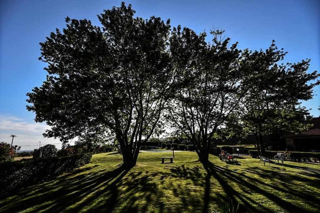 Agriturismo Bella Cima Montefiascone Kültér fotó
